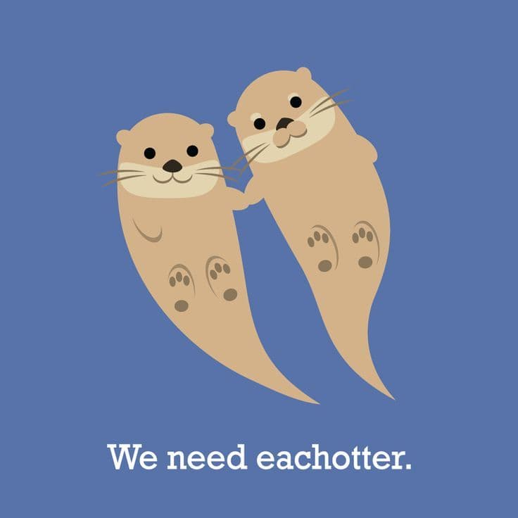 An otter with tags: otter